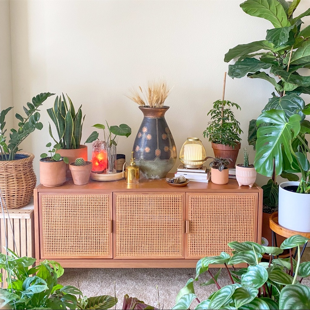 Meet your Posher, Theplantadonis